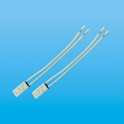 Bao Kai Temperature Control Switch4