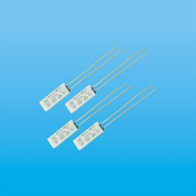 Bao Kai Temperature Control Switch2