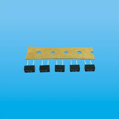 SQT Φ8.4×4.0×5.2 Square Encapsulated Fuse (Slow Blow Type)