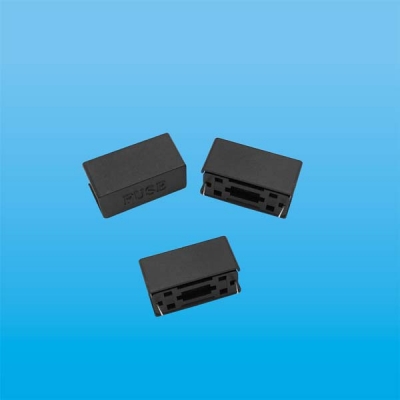 PTF-12 fuse holder